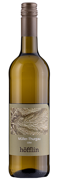2022er Müller Thurgau Löss