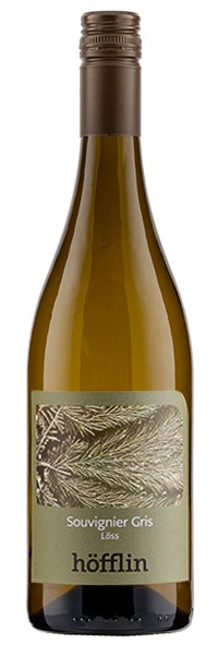 2024er Souvignier Gris Löss